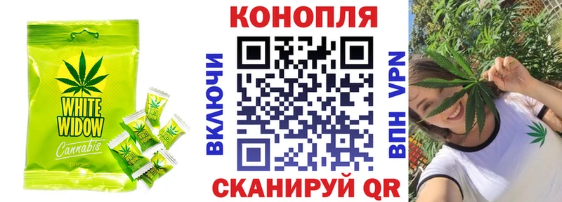 дарнет шоп Фёдоровский Canna-Cookies конопля