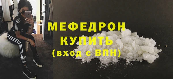 дживик Няндома