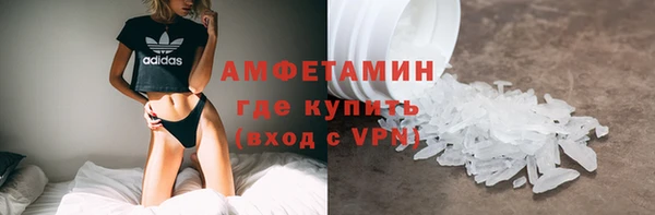 прущие грибы Осинники