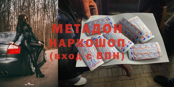 прущие грибы Осинники