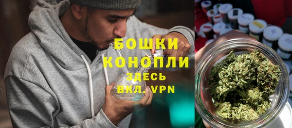 прущие грибы Осинники