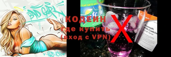 прущие грибы Осинники
