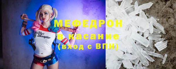 прущие грибы Осинники
