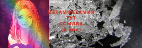 прущие грибы Осинники
