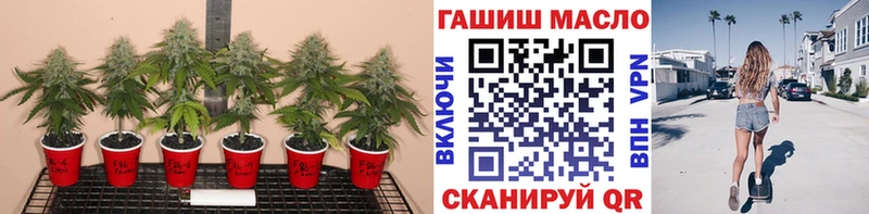 сайты даркнета как зайти  Фёдоровский  ТГК гашишное масло  omg как зайти 