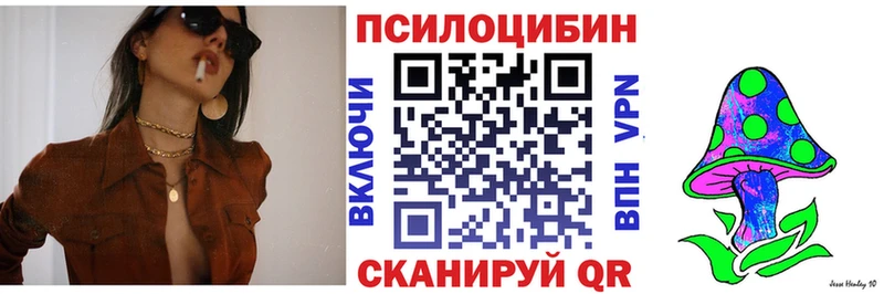 Псилоцибиновые грибы GOLDEN TEACHER  блэк спрут зеркало  Фёдоровский 